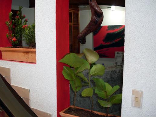 Hotel Red Cay | San Andrés | San Andres y Providencia | Colombia 9