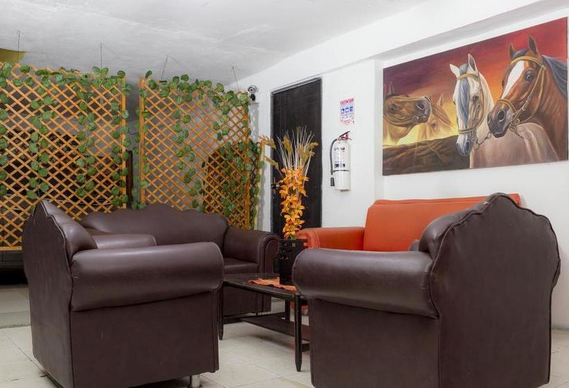 Hotel Recuerdos Del Estadio | Medellín | Antioquia | Colombia 9