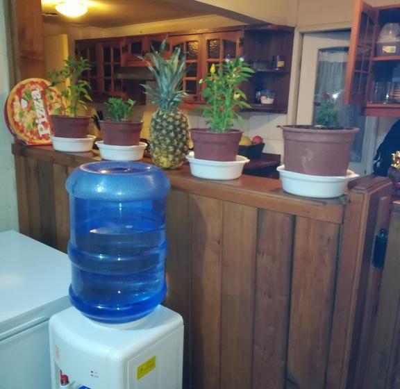 Bed and Breakfast Casa Familiar Los Andes | Los Andes | Valparaiso | Chile 4