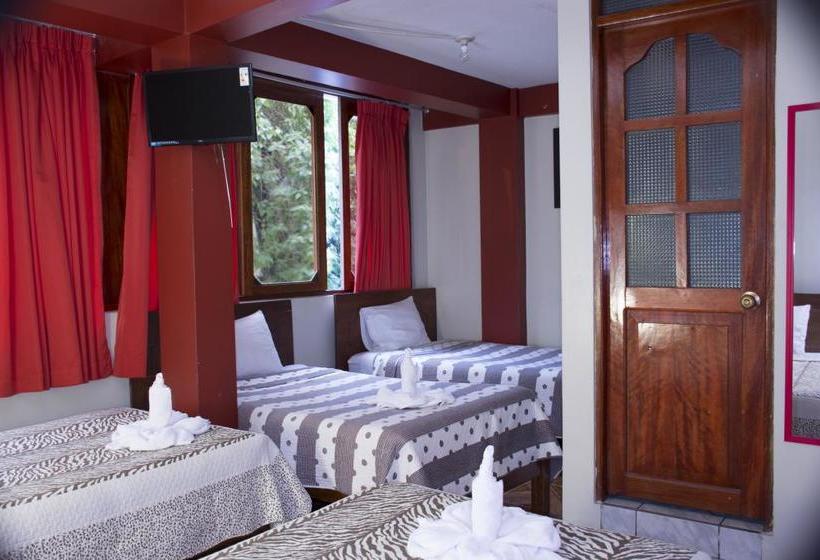 Bed and Breakfast Palace Sun | Machu Picchu | Urubamba | Perú 20