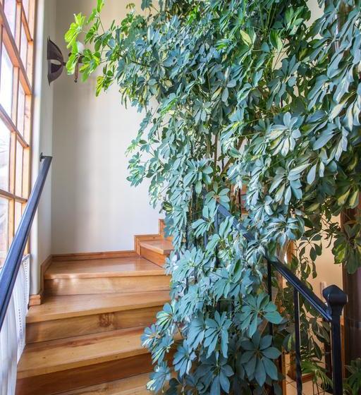 Hotel Refugio Spa | Rancagua | O'Higgins | Chile 9