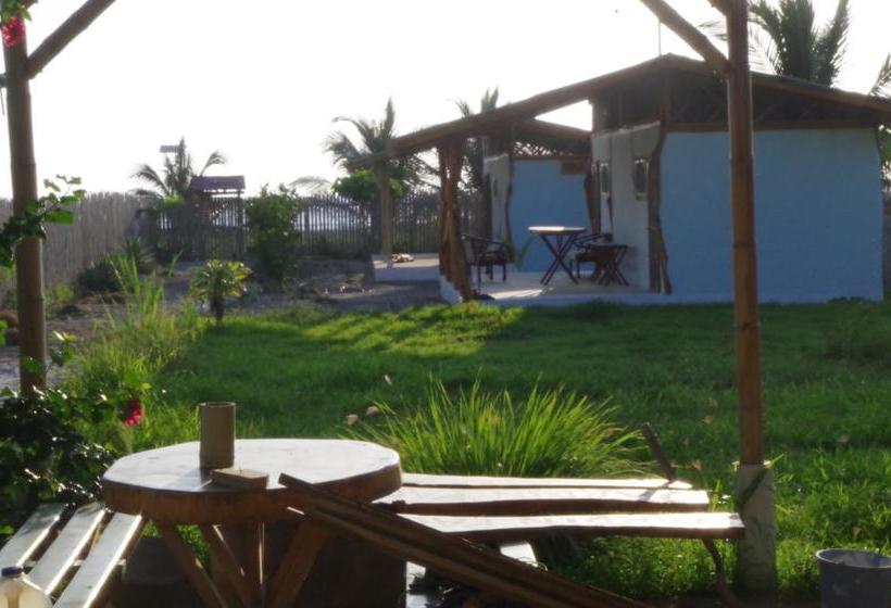 Hotel Jardin Pacifico Bungalow Room | Canoa | Manabi | Ecuador 14