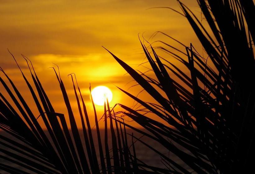 Hotel Jardin Pacifico Bungalow Room | Canoa | Manabi | Ecuador 2