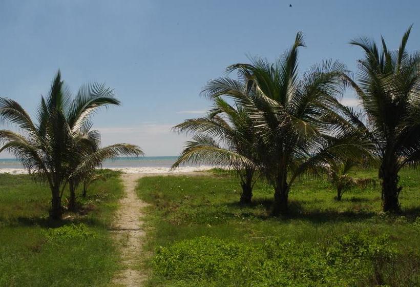 Hotel Jardin Pacifico Bungalow Room | Canoa | Manabi | Ecuador 7