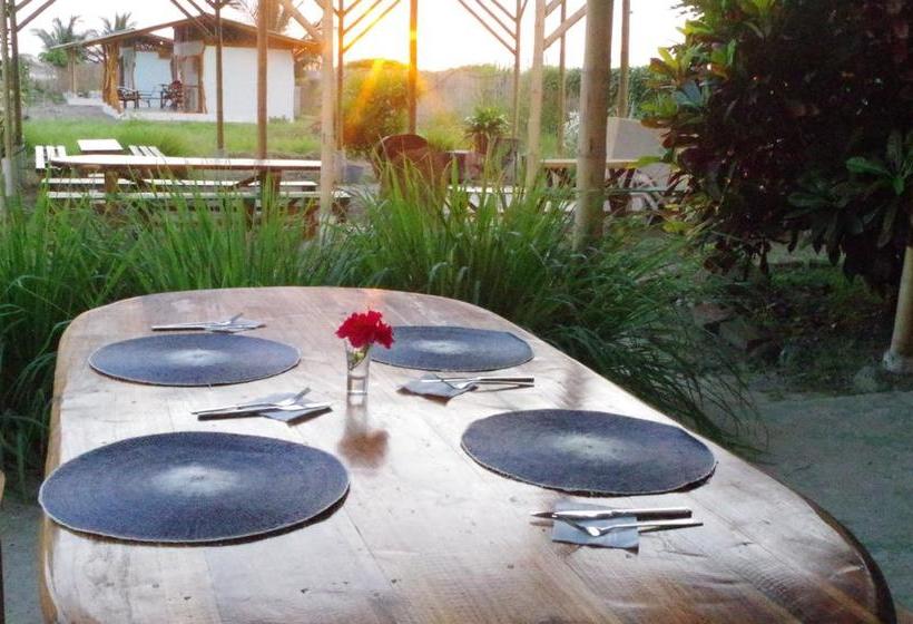 Hotel Jardin Pacifico Bungalow Room | Canoa | Manabi | Ecuador 8