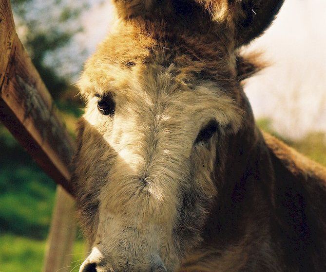 Hotel Gregan's Castle | Ballyvaughan | Clare | Ireland 20