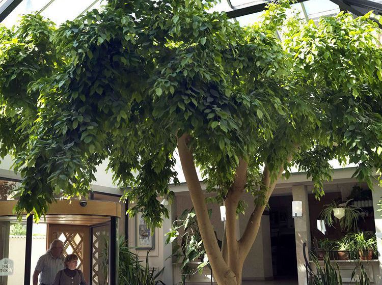 Hotel Best Western Strand Visby Gotlands Lan