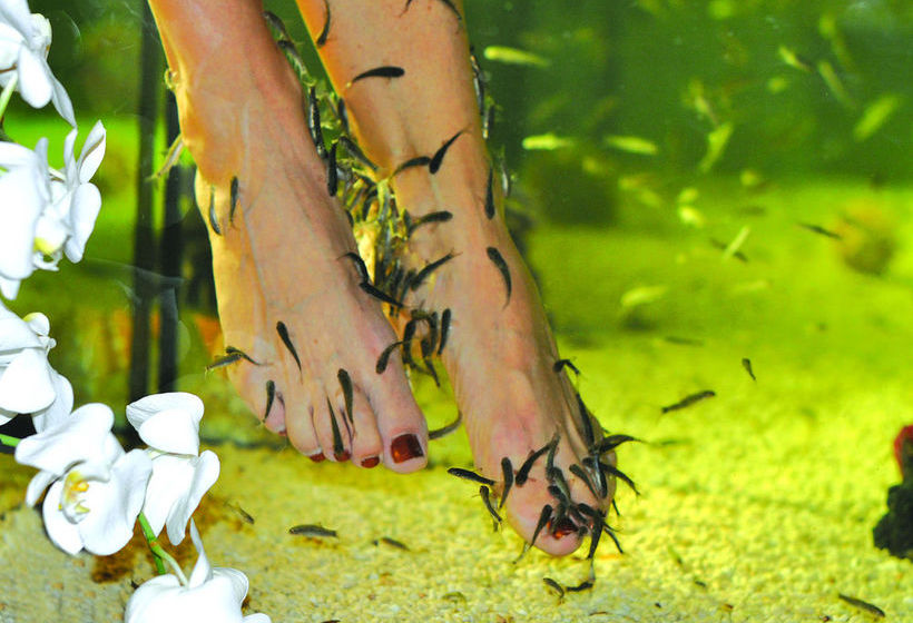 First Hotel Linné | Uppsala | Uppsala Lan | Sweden 13