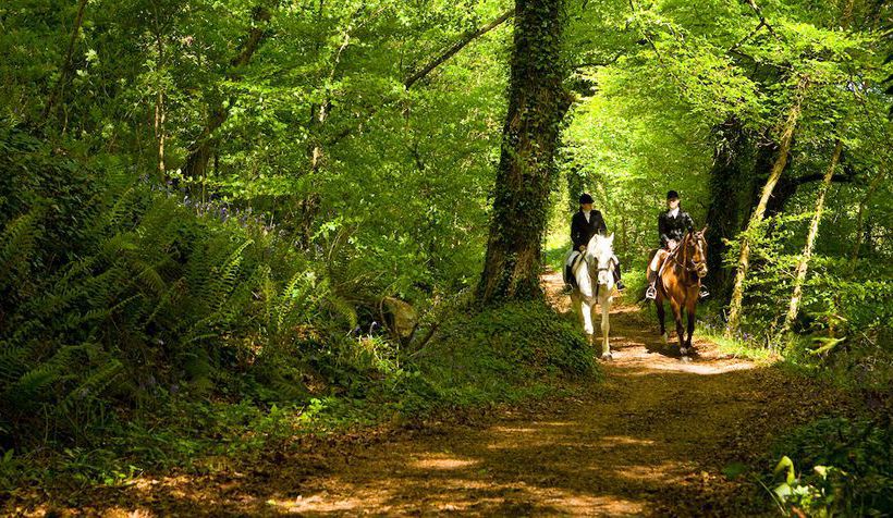 Hotel Mount Juliet | Thomastown | Kilkenny | Ireland 1