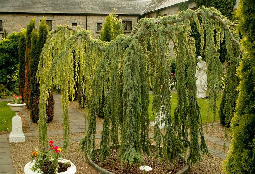 Hotel Cabra Castle | Kingscourt | Cavan | Ireland 4