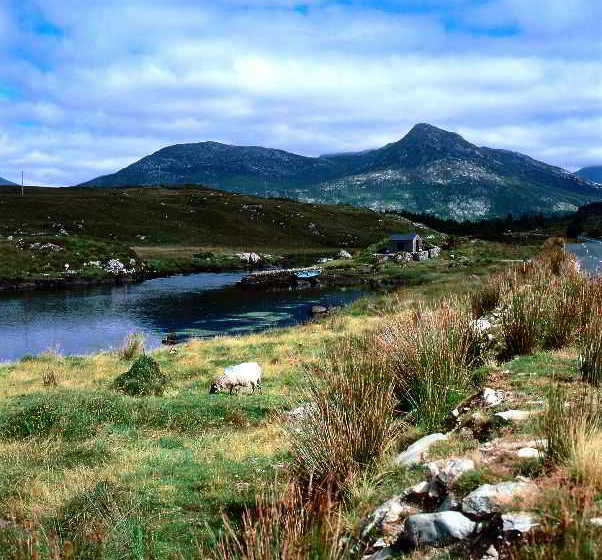 Hotel Carna Bay | Connemara | Galway | Ireland 13