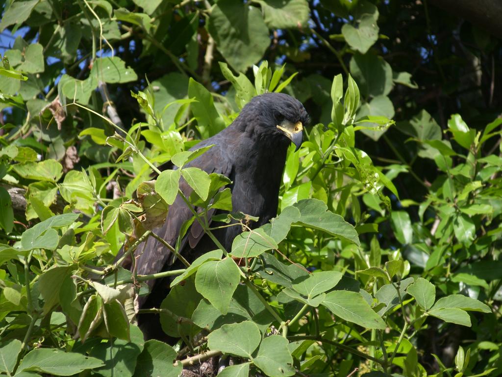 Hotel Recanto Do Dourado  | Caceres | Mato Grosso | Brasil 3