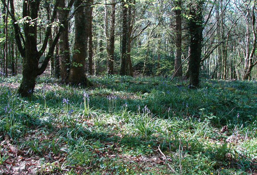 Hotel Downhill Inn | Ballina | Mayo | Irlanda 7