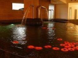 Mount Wolseley Country Resort | Tullow | Carlow | Ireland 8