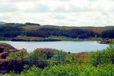 Peacocke's Hotel | Connemara | Galway | Ireland 4