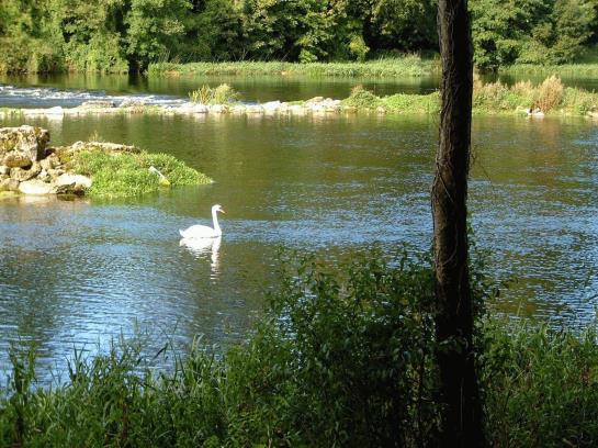 Castle Oaks House Hotel | Castleconnell | Limerick | Ireland 20