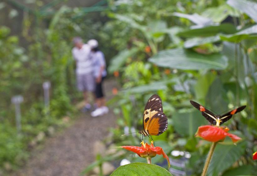 Hotel Gamboa Rainforest Resort | Gamboa | Colón | Panamá 12