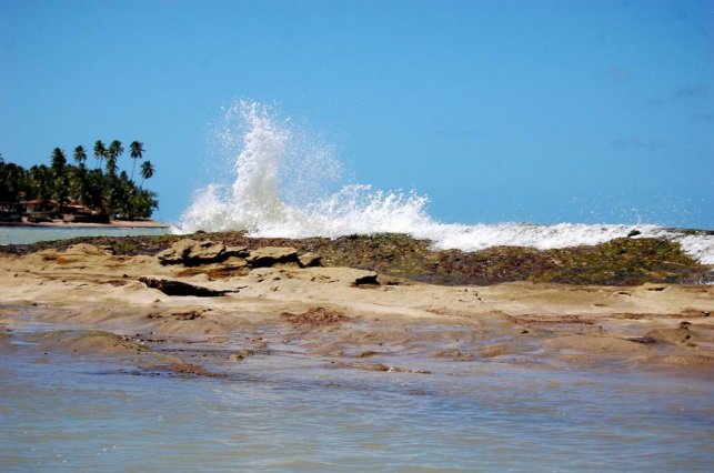 Hotel Pousada Sol Mar  | Japaratinga | Alagoas | Brasil 5