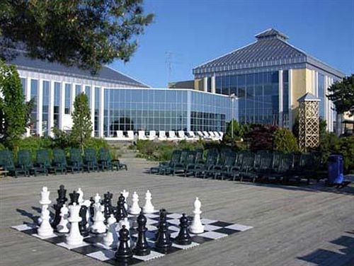 Quality Hotel & Resort Skjaergarden | Langesund | Telemark | Norway 6