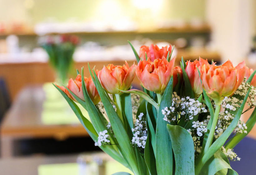 Accome Hotel Apartments Tornet | Helsingborg | Skane | Sweden 10