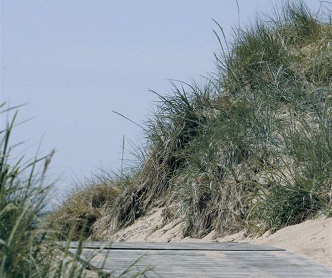 Hotel Falkenberg Strandbad | Falkenberg | Hallands Lan | Sweden 13