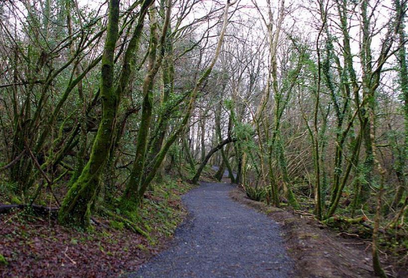 Hotel Breaffy Woods | Castlebar | Mayo | Ireland 19