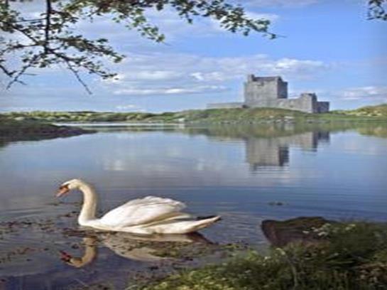 The Merriman Hotel | Claregalway | Galway | Ireland 1