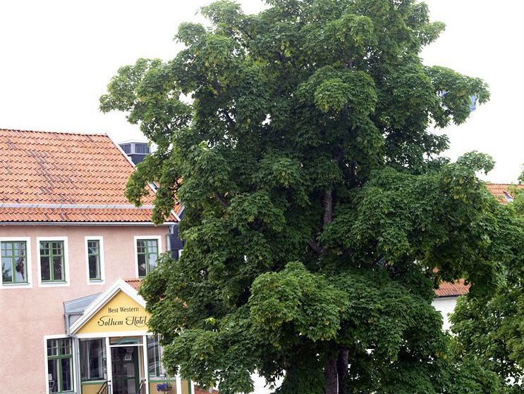 Best Western Hotell Solhem | Visby | Gotlands Lan | Sweden 7