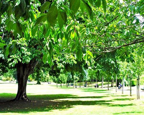 Hotel Morehampton Townhouse | Dublin | Dublin | Ireland 17