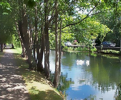 Hotel Morehampton Townhouse | Dublin | Dublin | Ireland 18