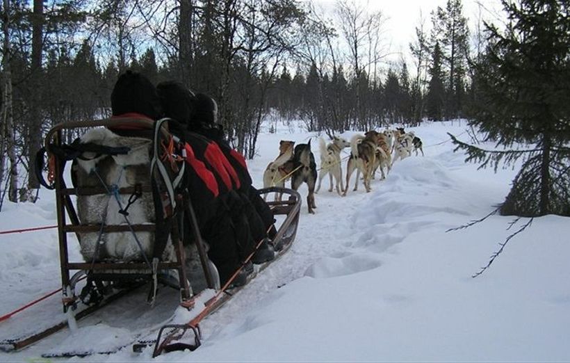 Hotel Camp Ripan | Kiruna | Norrbottens Lan | Sweden 7