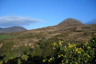 Hotel The Bards Den | Connemara | Galway | Ireland 3