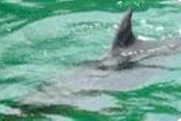 Hotel Blackberry Lodge | Dingle | Kerry | Ireland 6