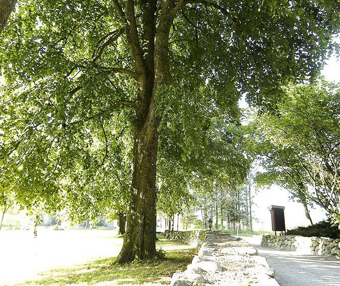 Hotel Kronen Gaard Sandnes Rogaland