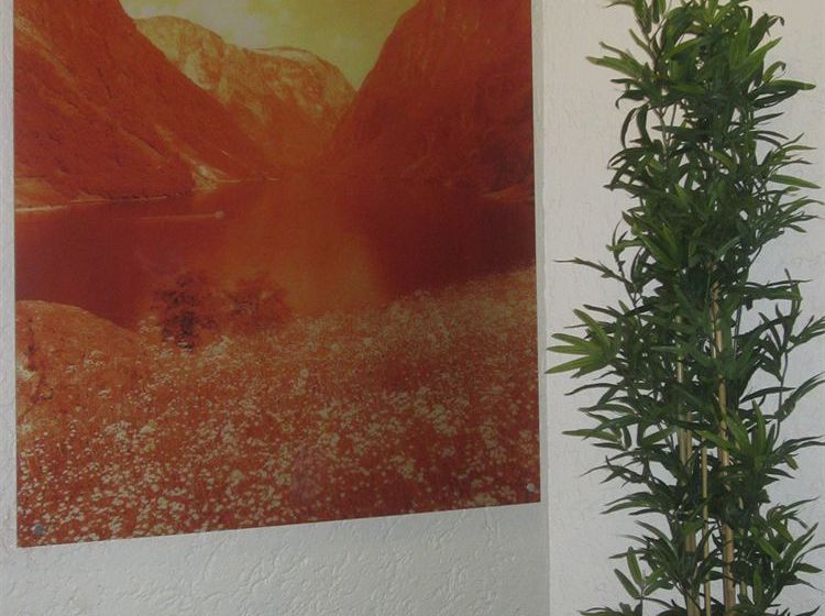 Bergen Budget Hotel | Bergen | Hordaland | Norway 3