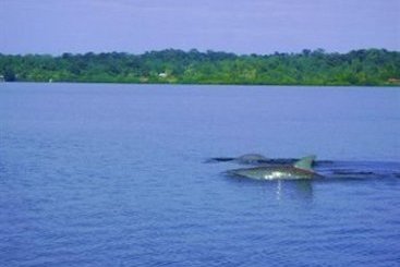 Hotel Bahia del Sol | Bocas del Toro | Bocas del Toro | Panamá 9
