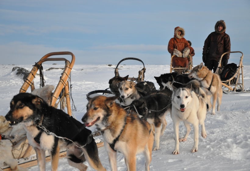 Hotel Engholm Husky Design Lodge | Karasjok | Finnmark | Norway 5