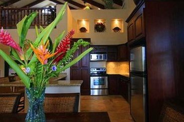 Hotel Red Frog Beach Rainforest Resort & Marina | Bocas del Toro | Bocas del Toro | Panamá 16