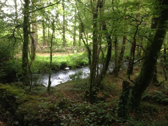 Rosslake House Hotel | Oughterard | Galway | Ireland 11