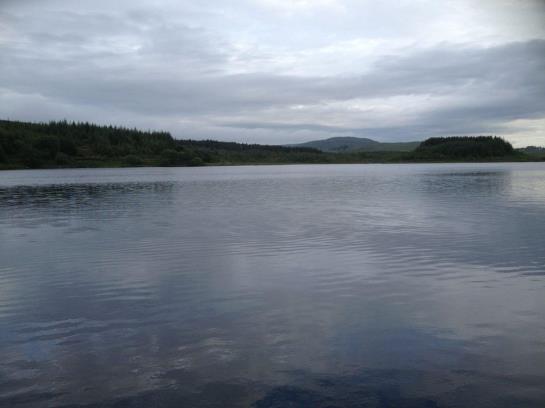 Rosslake House Hotel | Oughterard | Galway | Ireland 16