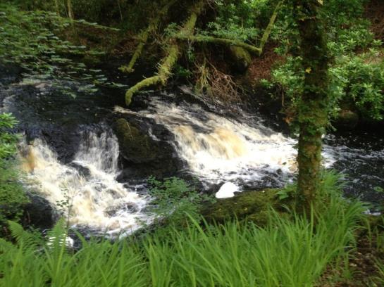 Rosslake House Hotel | Oughterard | Galway | Ireland 3