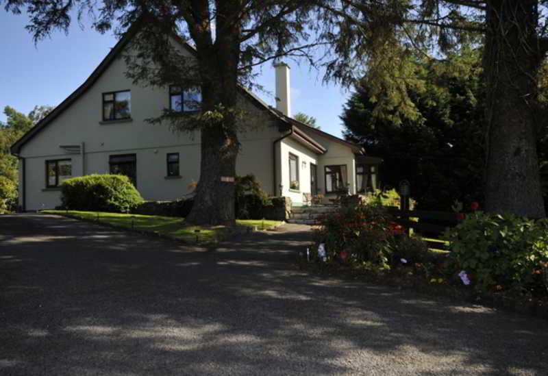 Bed and Breakfast Pine Grove | Galway | Galway | Ireland 2