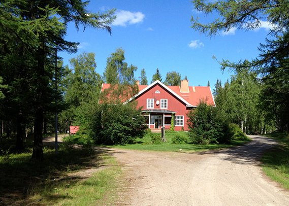 Clarion Collection Hotel Arvidsjaur | Arvidsjaur | Norrbottens Lan | Sweden 5