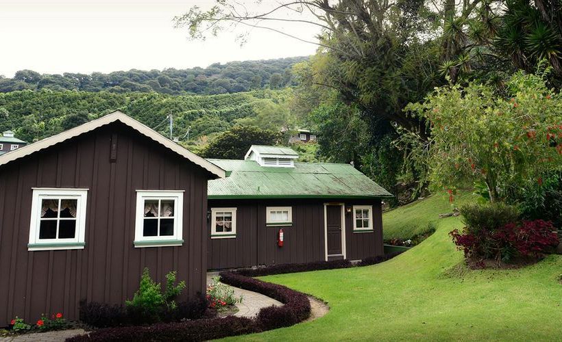 Finca Lerida Coffee Plantation & Boutique Hotel | Boquete | Chiriquí | Panamá 6