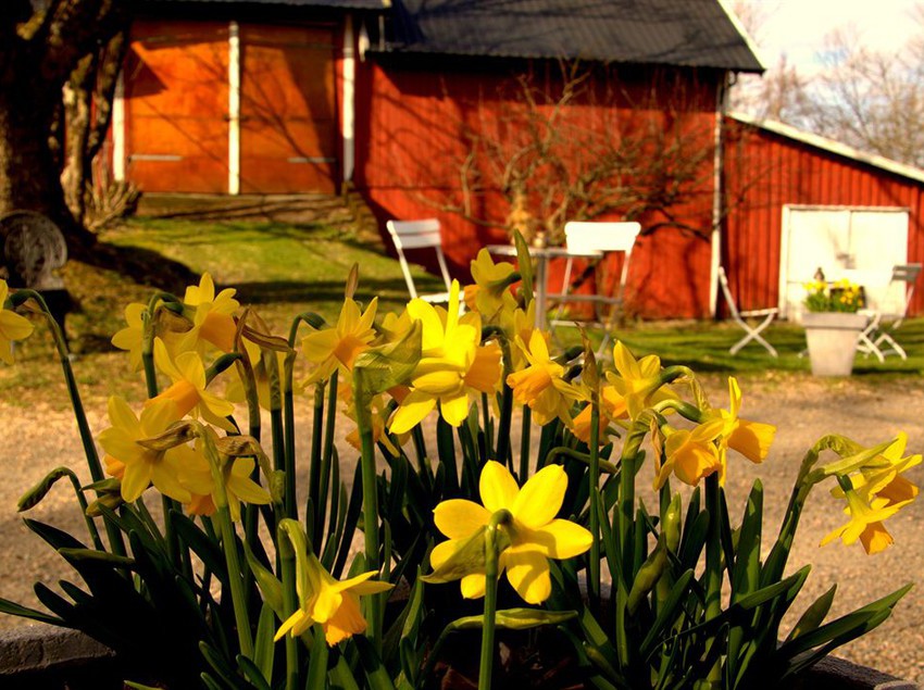 Paulsens Hotell | Lyngdal | Vest-Agder | Norway 3