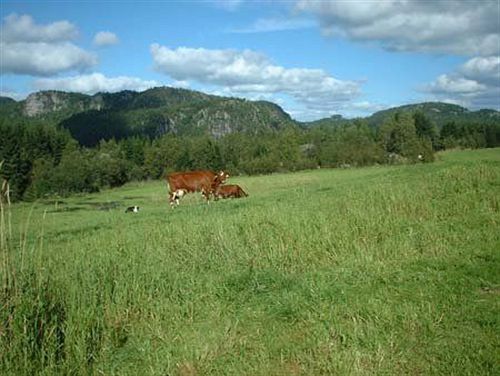 Hotel Heddan Gard | Haegebostad | Vest-Agder | Norway 2