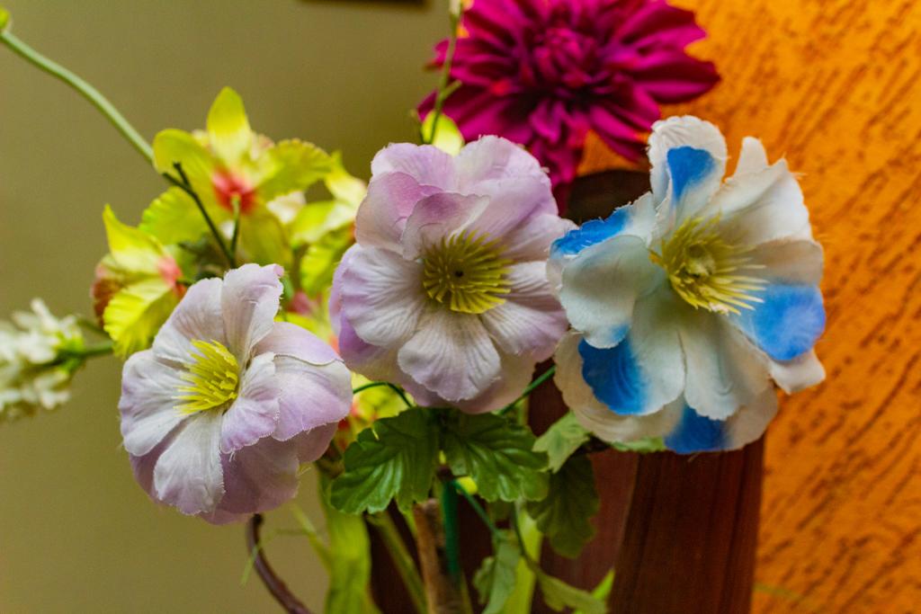 Hotel Vieiras Palace  | Paranaguá | Paraná | Brazil 2
