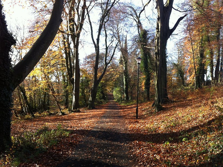 Nuremore Hotel & Country Club