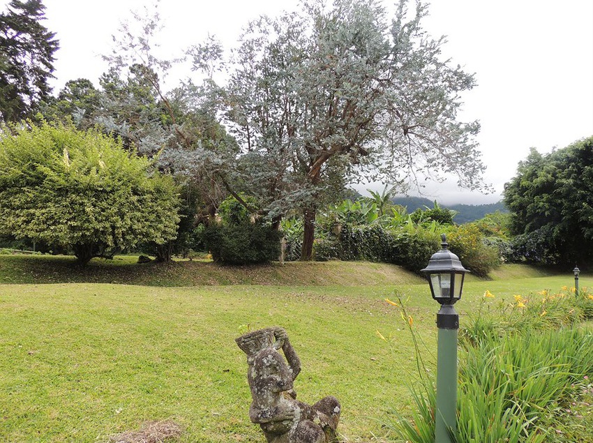 Hotel Villa Marita | Boquete | Chiriquí | Panamá 19