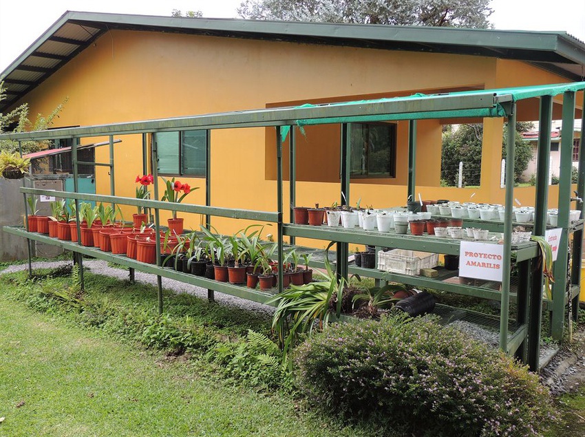 Hotel Villa Marita | Boquete | Chiriquí | Panamá 6